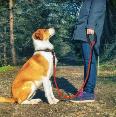 Reflective Nylon Dog Leash – Durable Pet Walking & Training Rope for All Dog Sizes